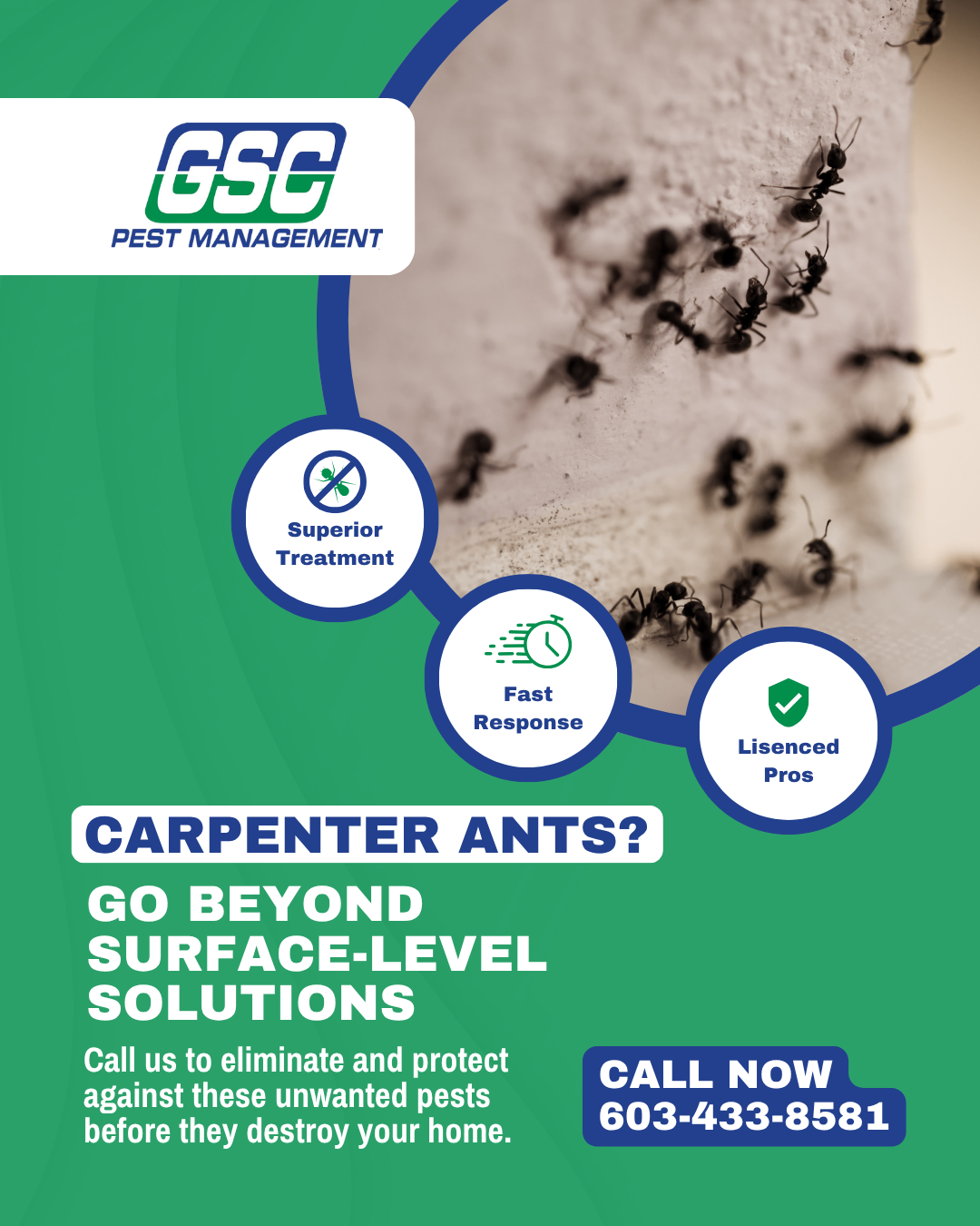 GSC Pest Management Facebook ad: A Smarter Approach to Carpenter Ant Control