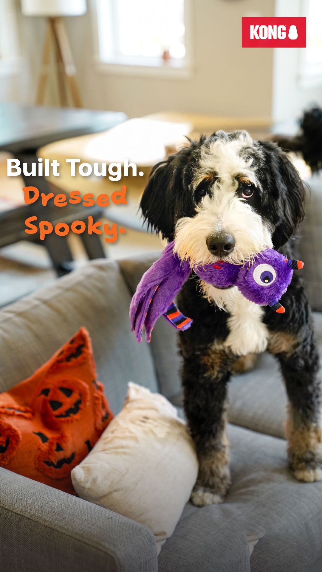 KONG Facebook ad: Built Tough. Dressed Spooky.