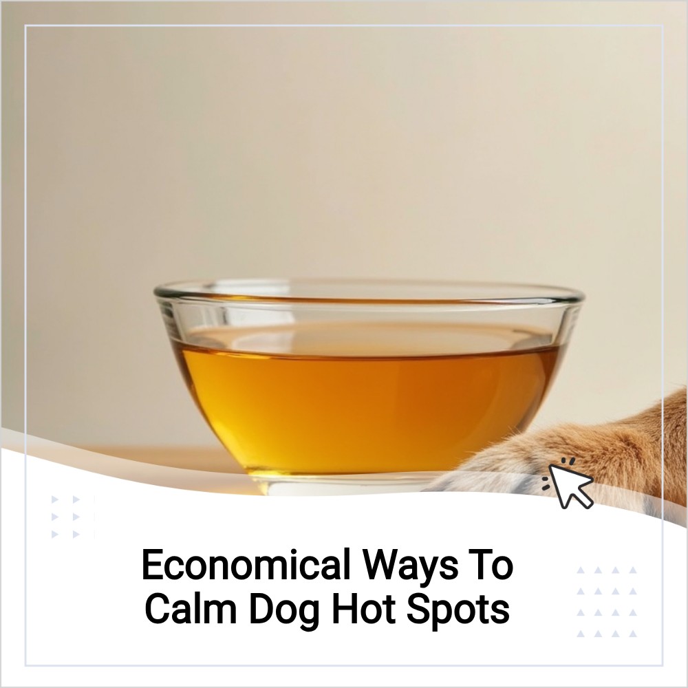 SearchConnect Trend Facebook ad: Reveal Tips To Ease Dog Skin Issues