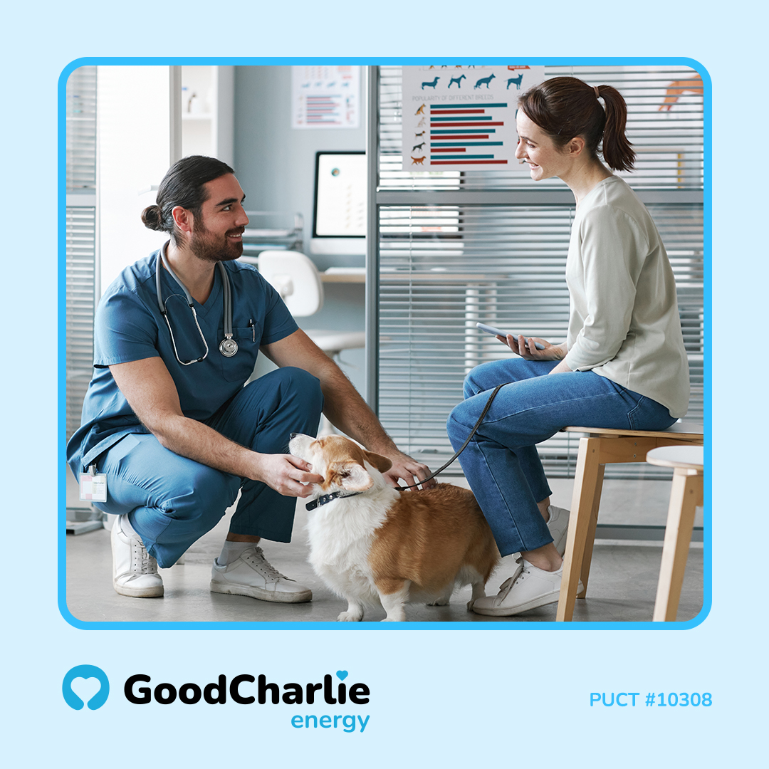 GoodCharlie Energy Facebook ad: Get 24/7 vet access and a $750 Emergency…