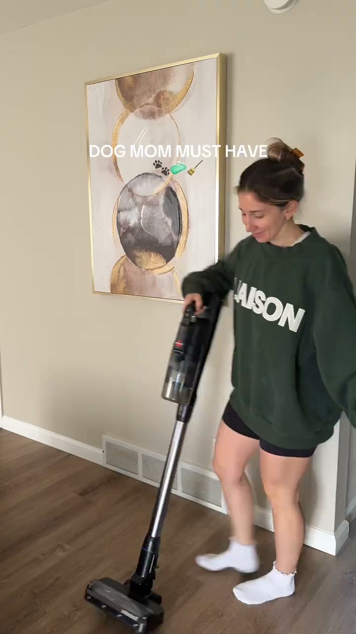 BISSELL Facebook ad: PowerClean FurGuard