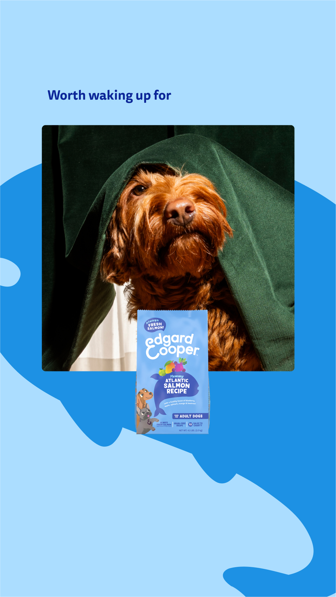 Edgard & Cooper Facebook ad from Feb 9, 2026