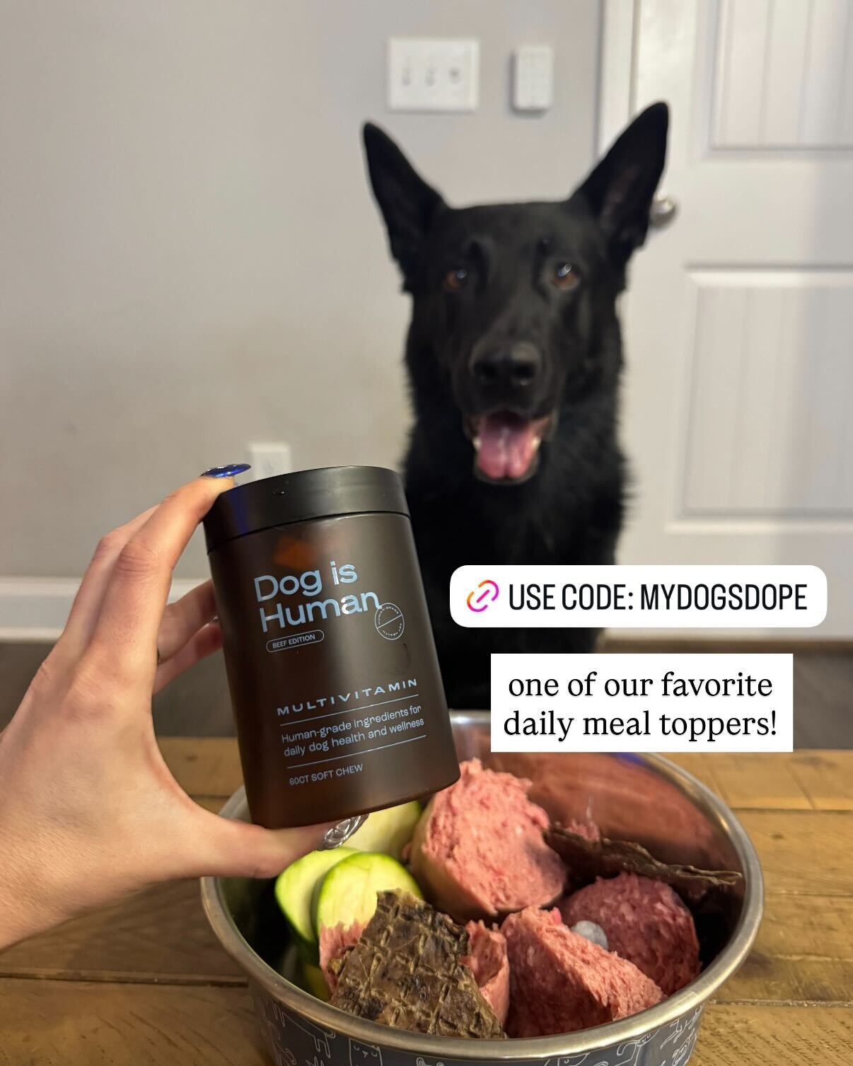Dog is Human Facebook ad