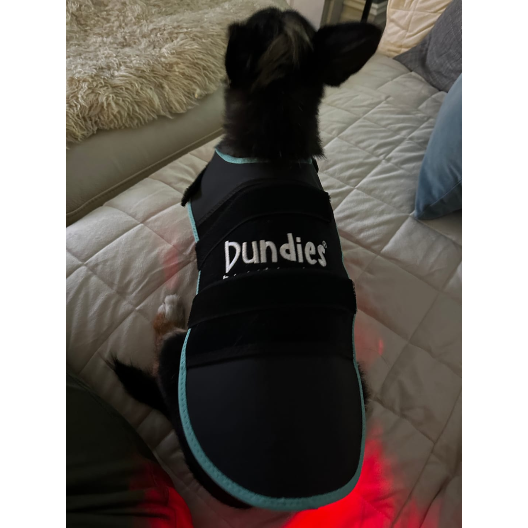 Dundies Facebook ad