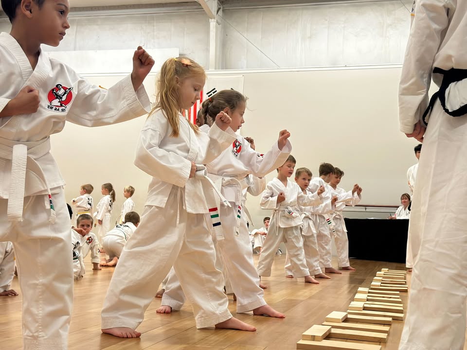 Greenville Martial Art Center Facebook ad