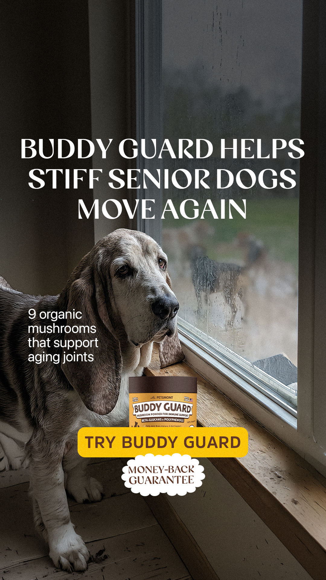 Well Pup Life Facebook ad