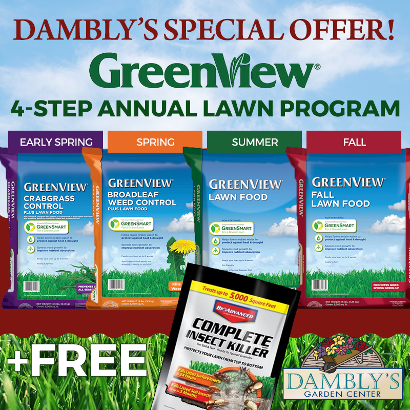 Dambly's Garden Center Facebook ad