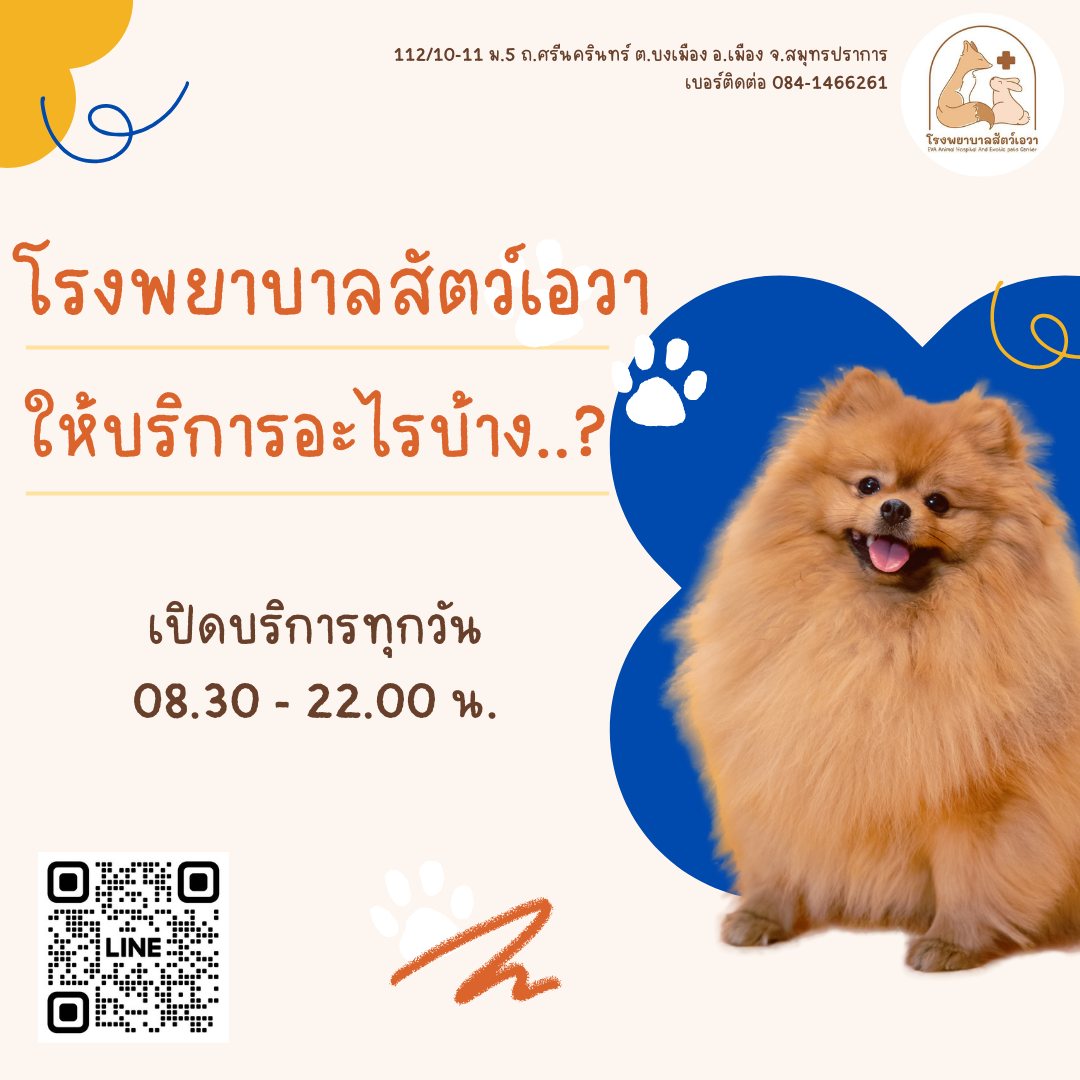 โรงพยาบาลสัตว์เอวา EVA Animal Hospital and Exotic pets Center Facebook ad