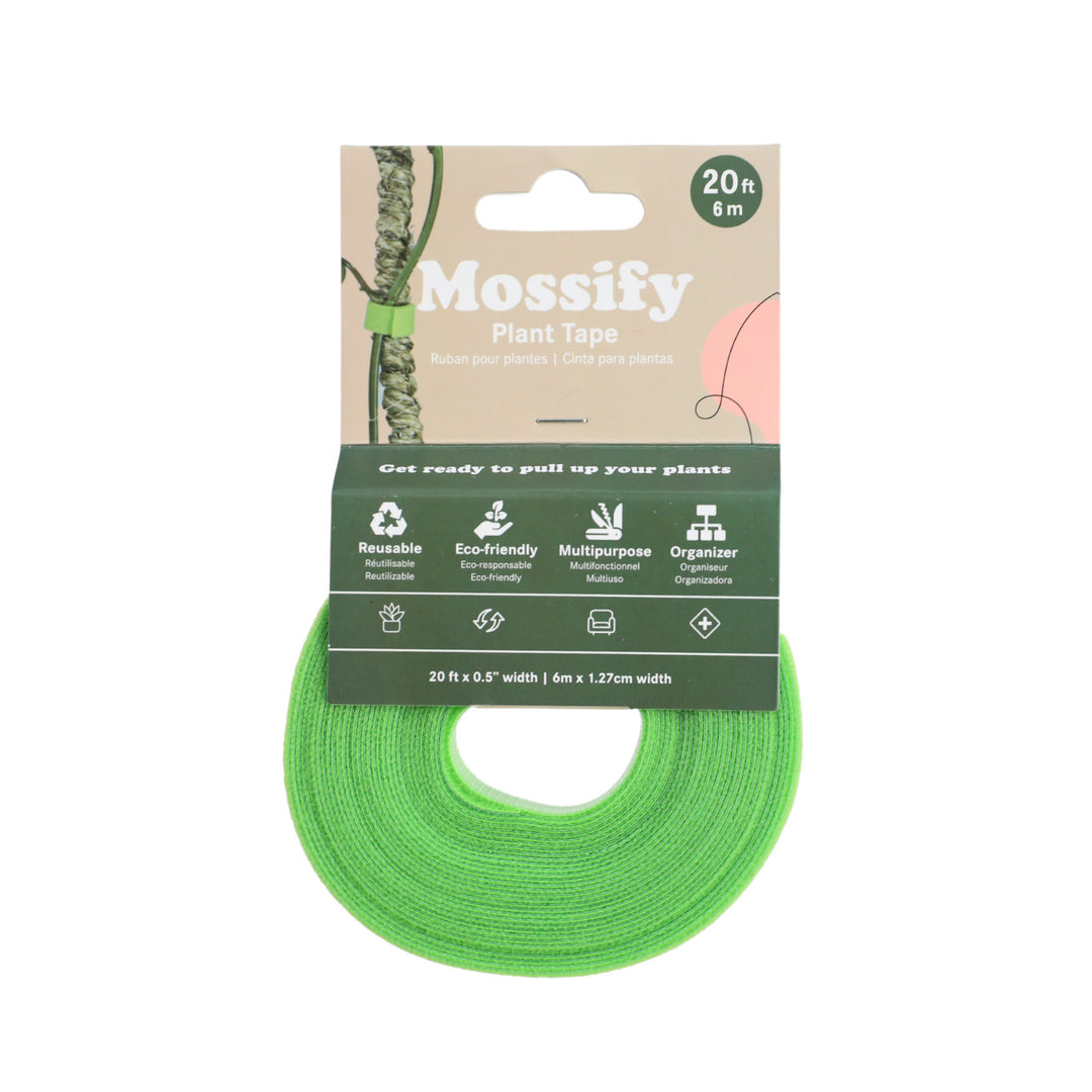 Mossify Facebook ad: Your Dream Indoor Jungle-In One Box!