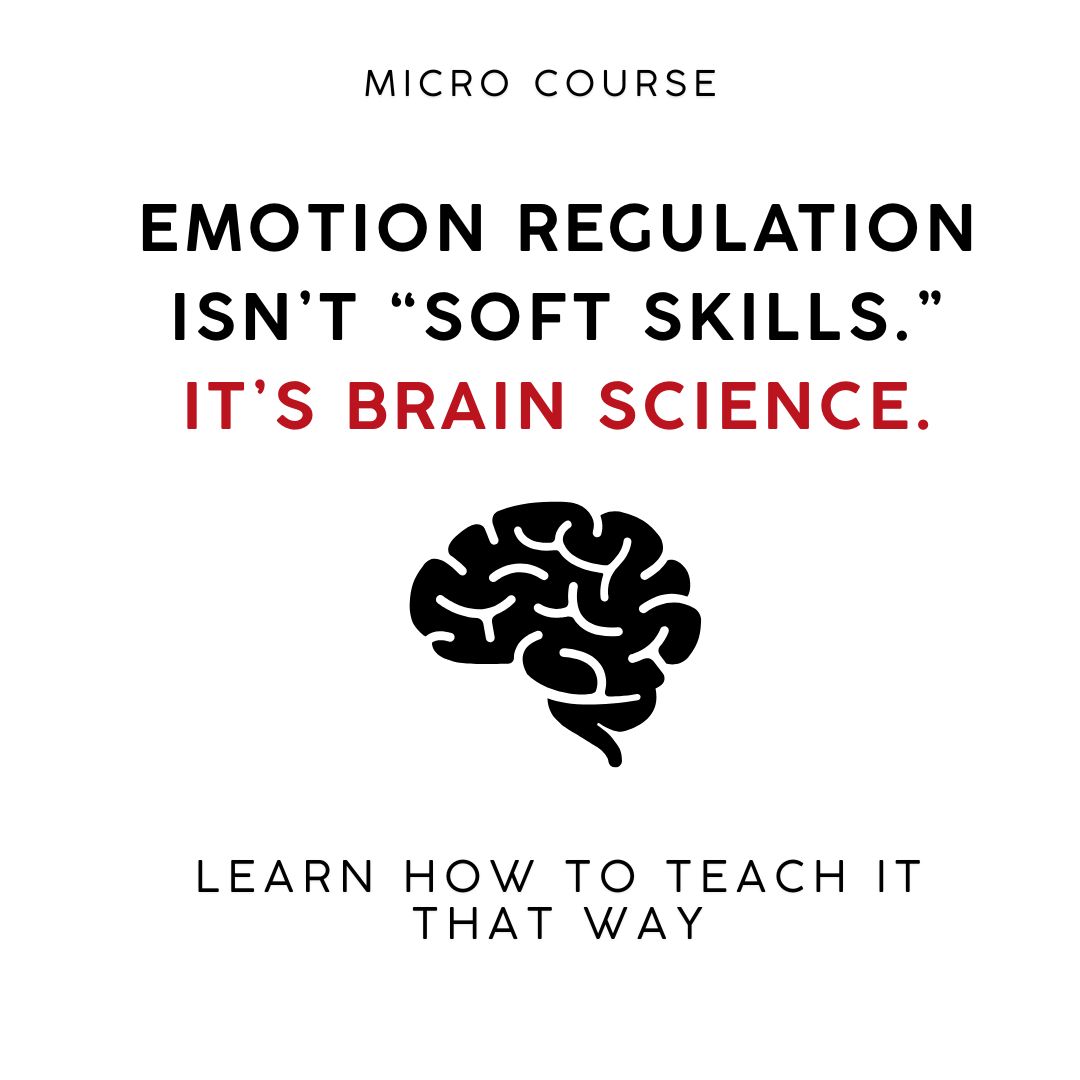 Mindset Neuroscience Facebook ad