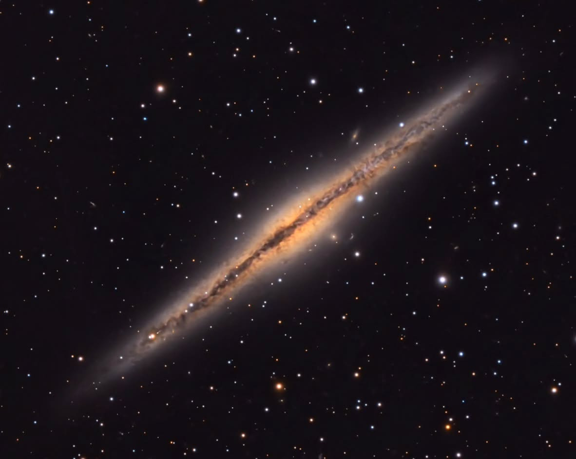 Celestron Facebook ad: NGC 891, captured by Brian (@churchville_astro) under…
