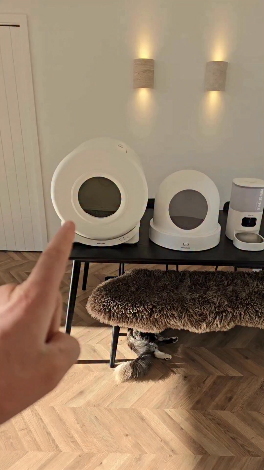 pawtechnz Facebook ad: $1,352.99 of Cat Gear, $1,000, Weekend Away Bundle