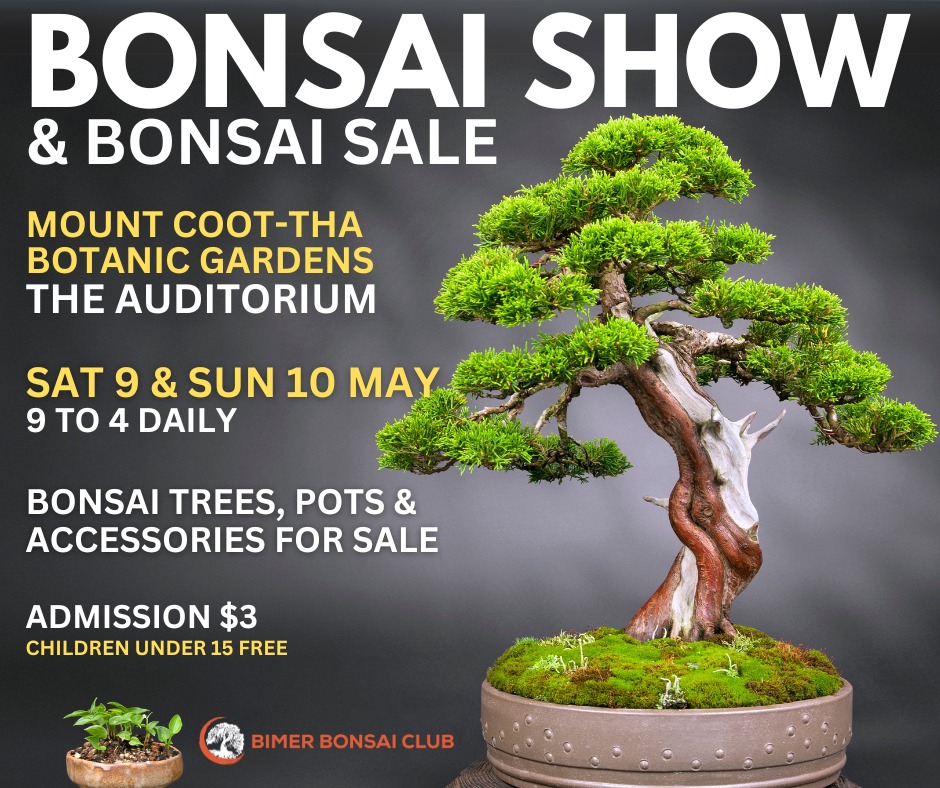 The Bimer Bonsai Club Facebook ad