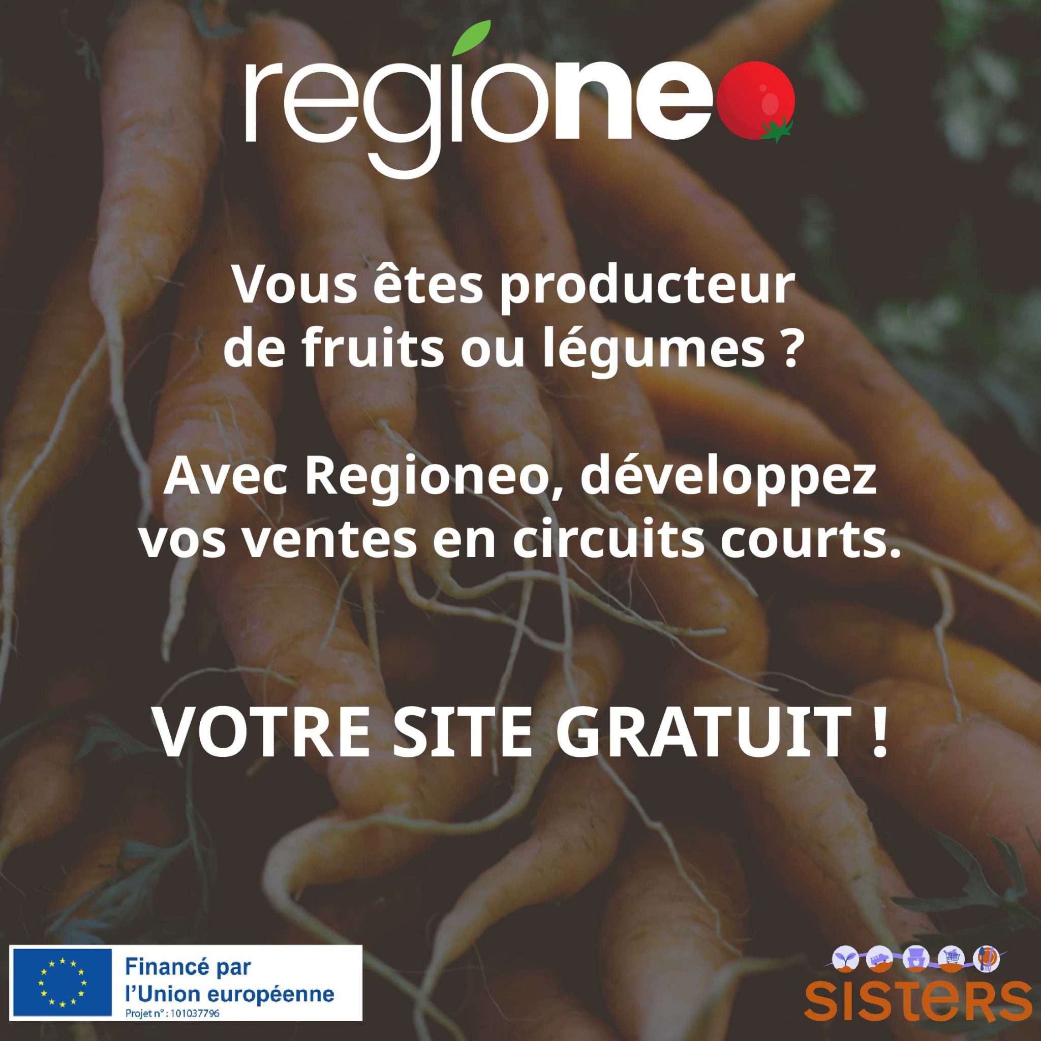 Regioneo Facebook ad: Rejoignez l'aventure Regioneo