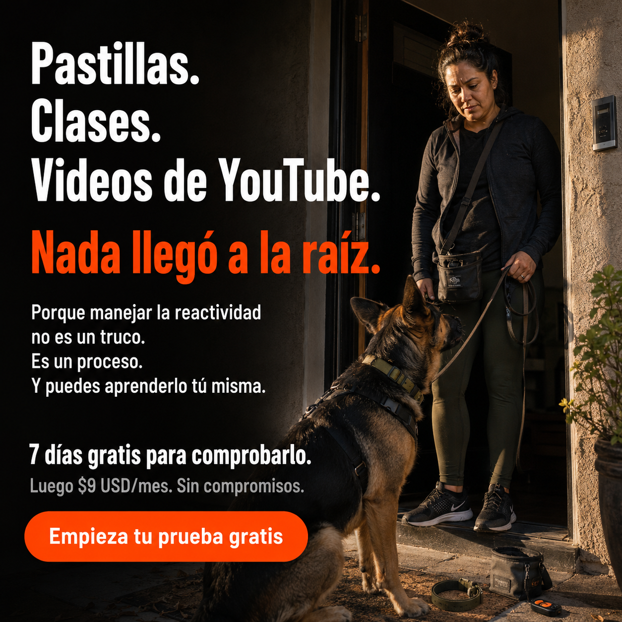 El Profesor Canino Facebook ad