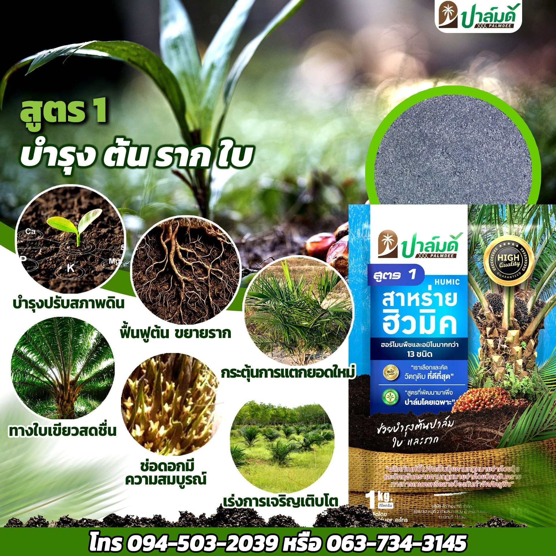 ปาล์มดี - Palmdee Thailand Facebook ad: คืนชีพปาล์มโทรม แก้ปัญหาปาล์มขาดคอ
