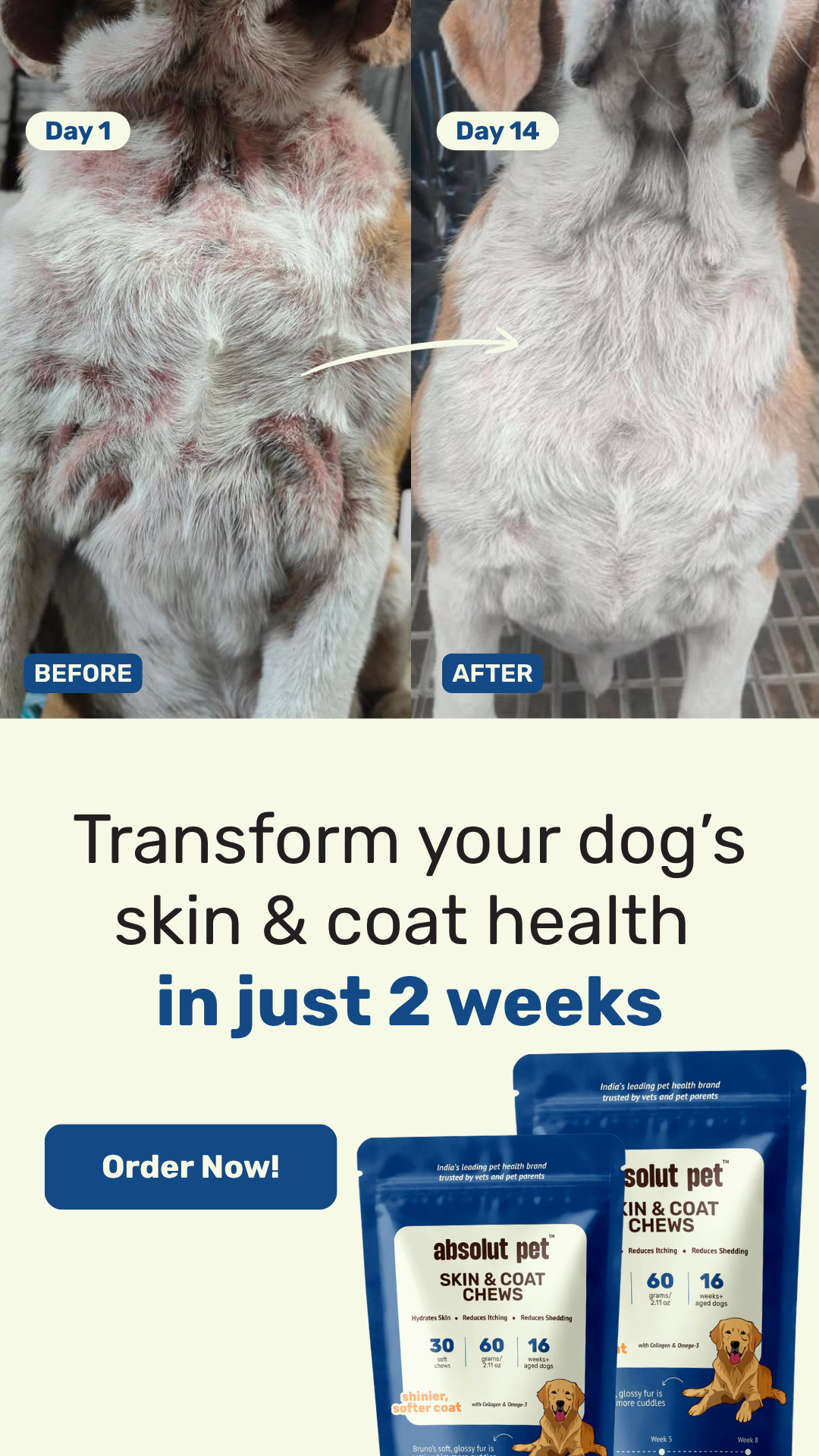 Absolut Pet India Facebook ad