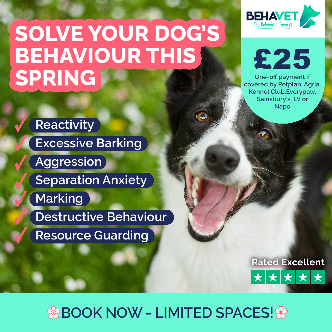 Behavet: The Pet Behaviour Experts Facebook ad