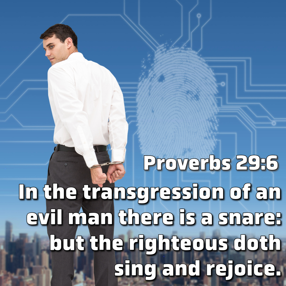 Wisdom of Solomon's Proverbs Facebook ad