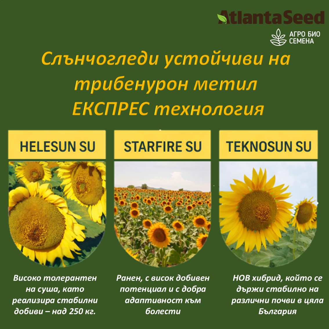 AtlantaSeed Facebook ad: Нашите клиенти споделят, че това са любимите им…
