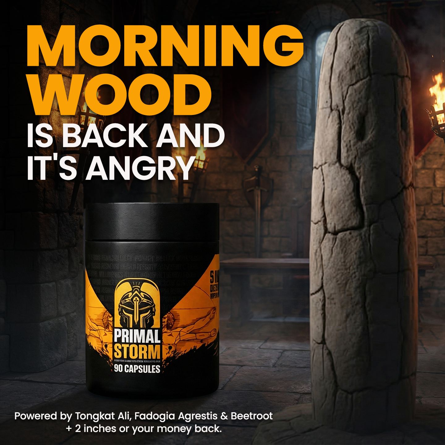 Primal Storm Facebook ad