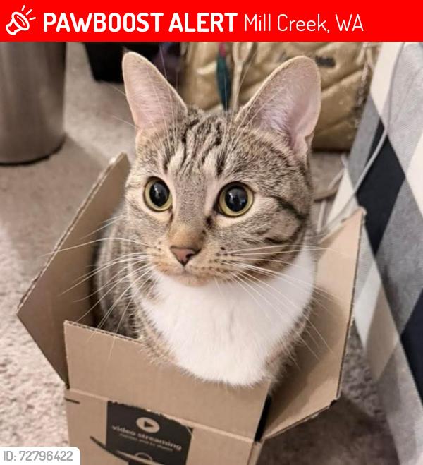 PawBoost Facebook ad