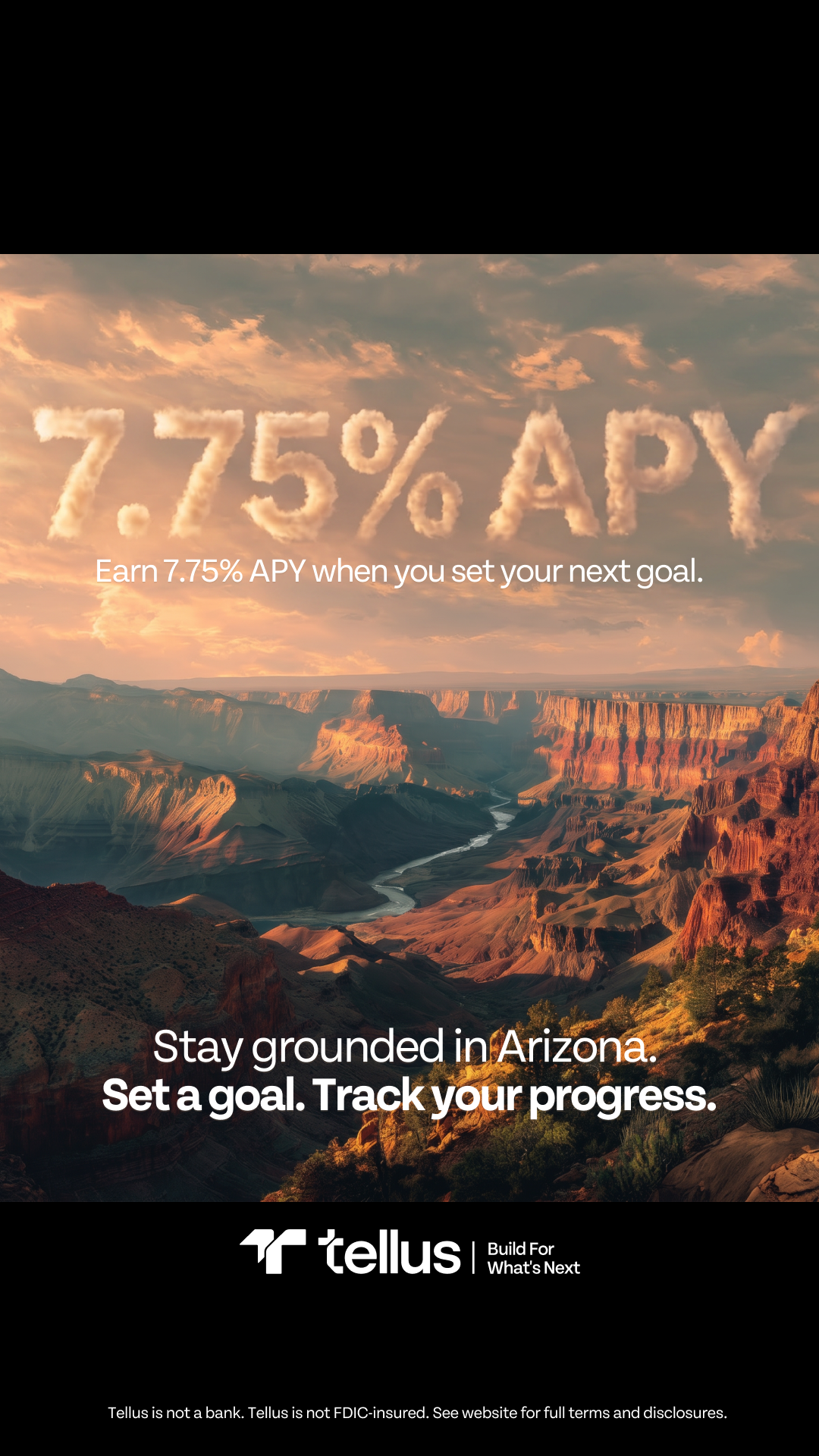 Tellus Facebook ad