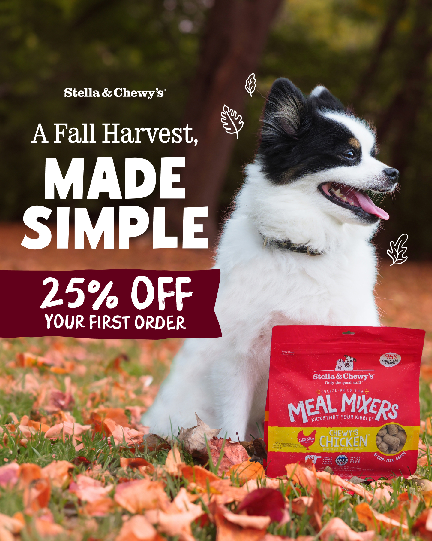 Stella & Chewy's Facebook ad: The Best of Fall, In One Bowl