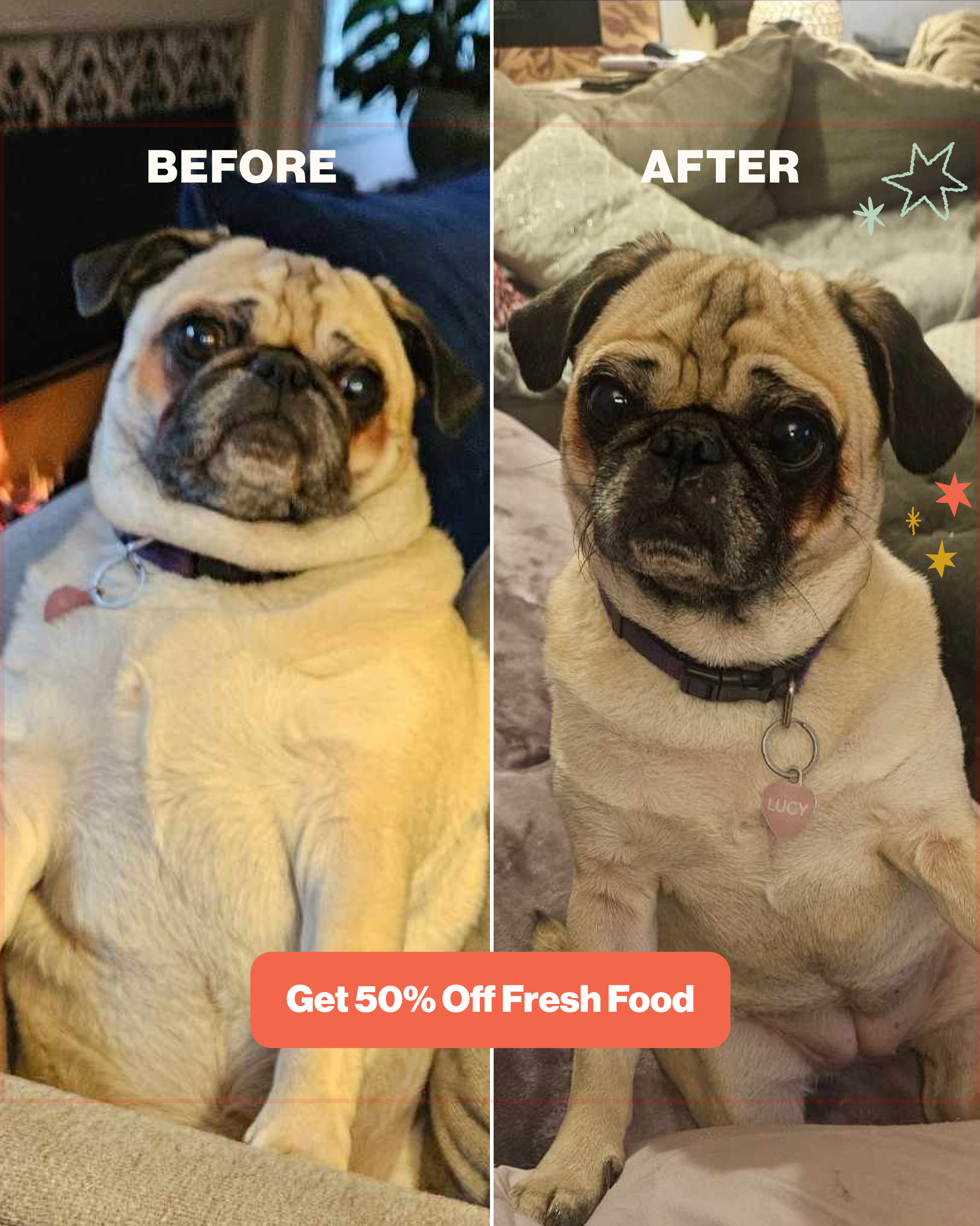 The Farmer's Dog Facebook ad