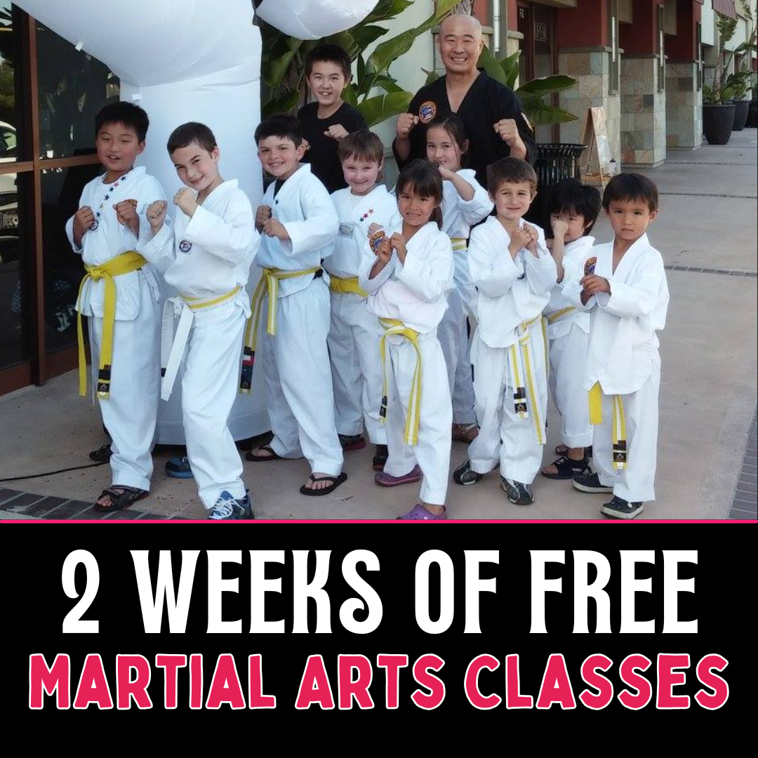 Black Belt Academy Martial Arts School Facebook ad: 2 Weeks Of Free Martial Arts Classes!