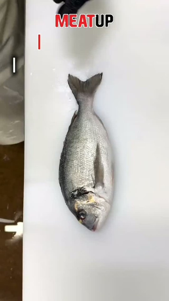 MeatUp Fresh Facebook ad: Ocean Fresh | Farm Fresh | Premium Cuts
