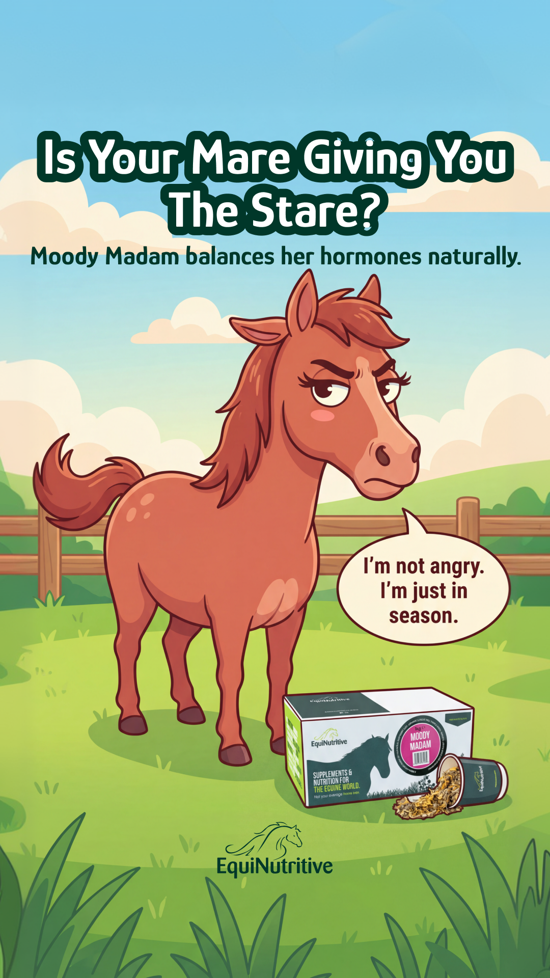 EquiNutritive Facebook ad