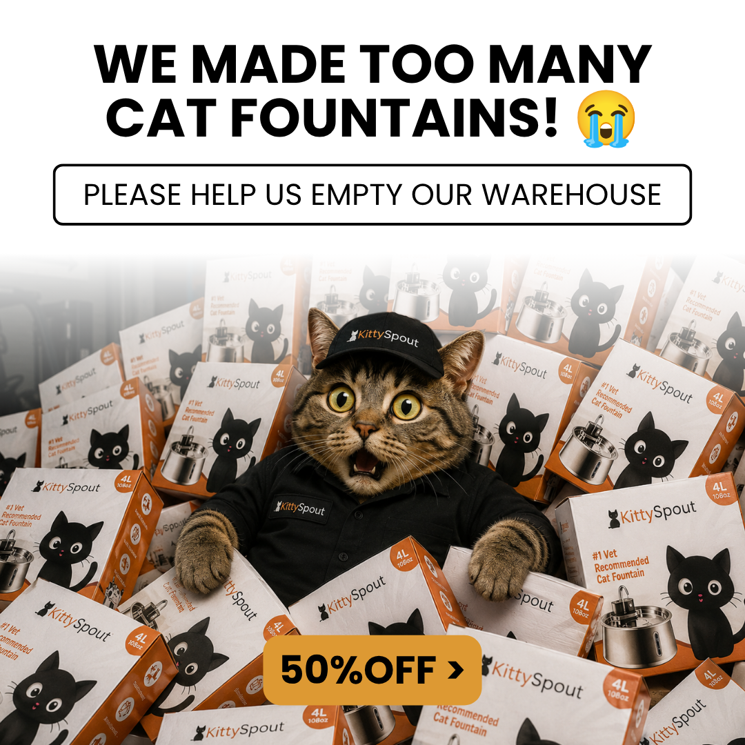 KittySpout Facebook ad