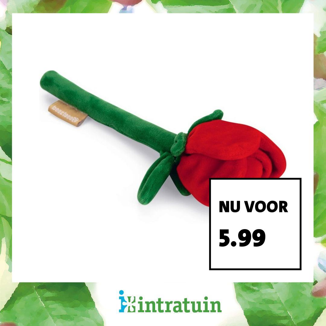 Intratuin Facebook ad