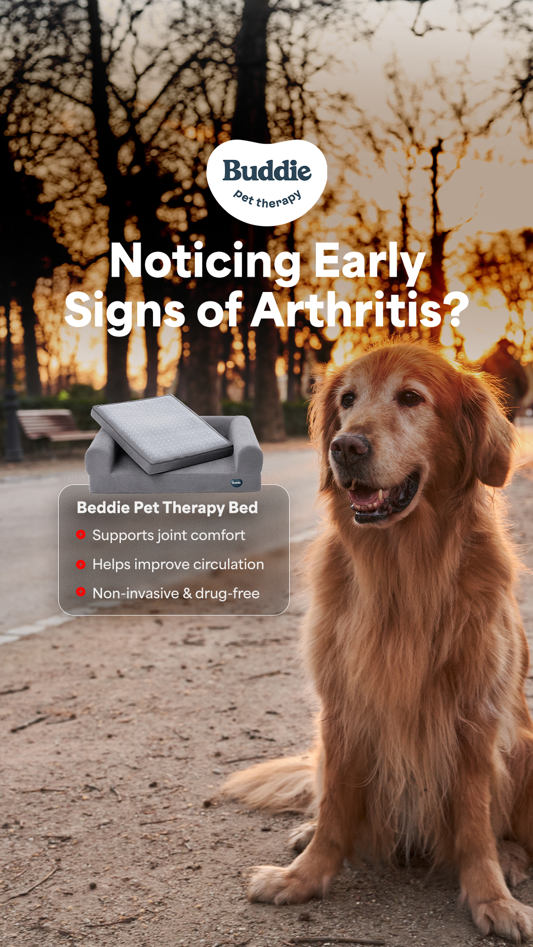 Buddie Pet Therapy Facebook ad