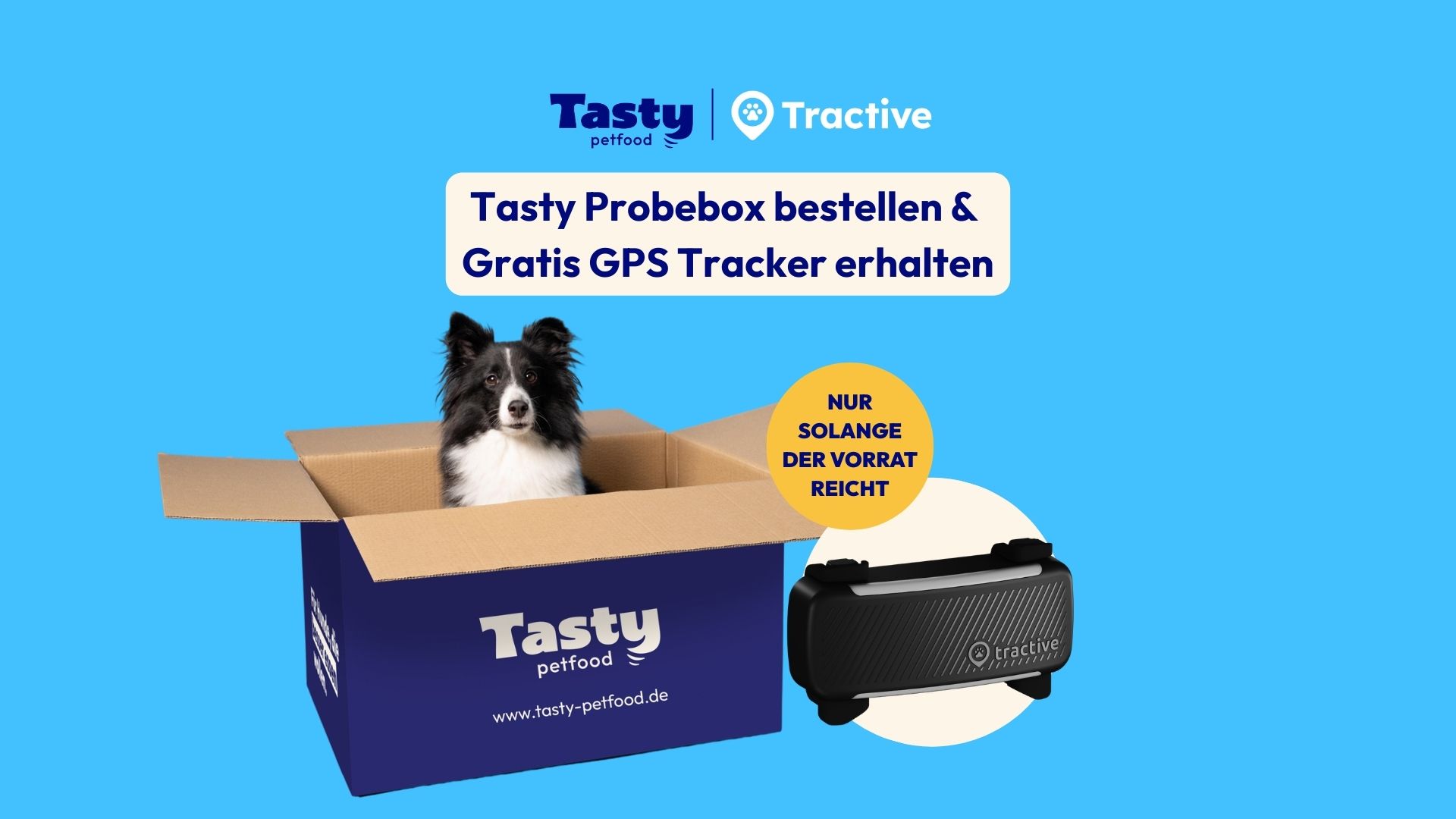 Tasty Petfood Facebook ad