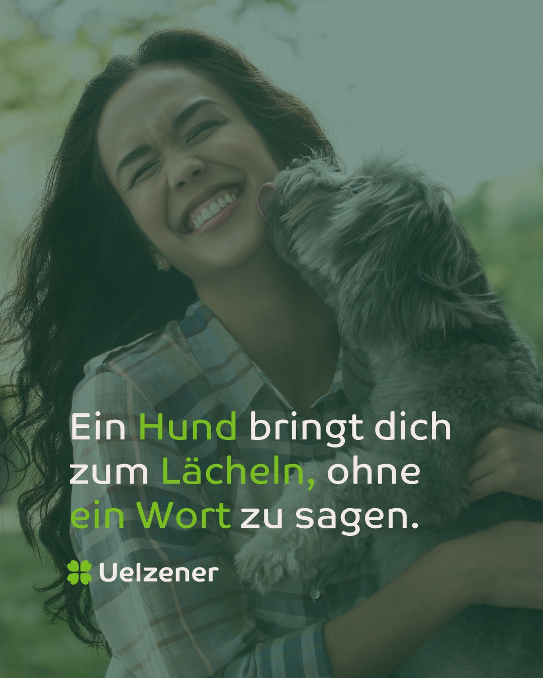 Uelzener Versicherungen Facebook ad: Hund