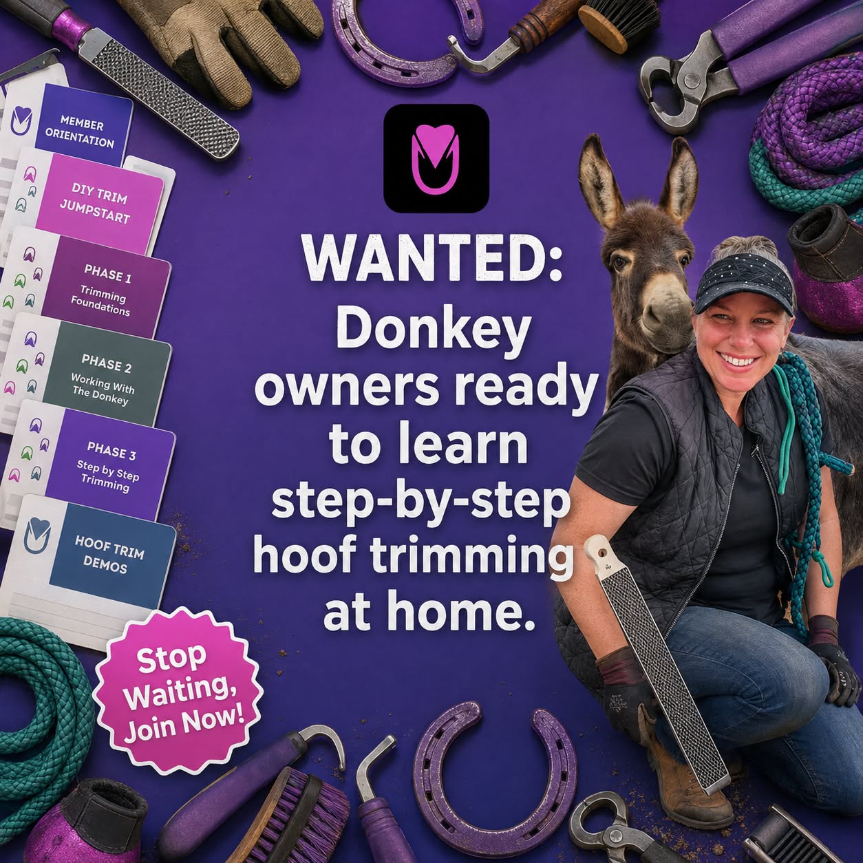 Skool Facebook ad: Trim Your Donkey's Hooves