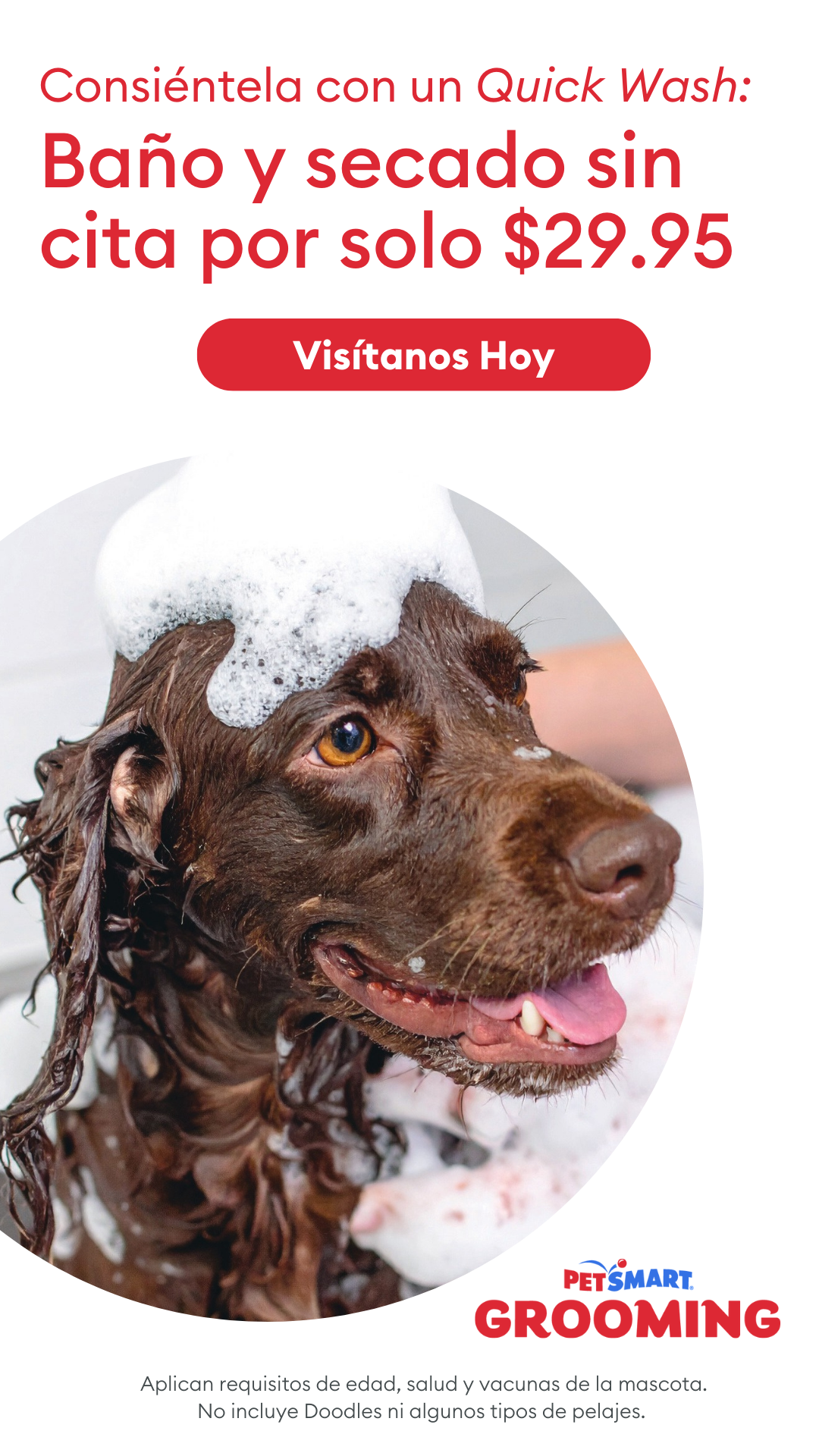 PetSmart Puerto Rico Facebook ad