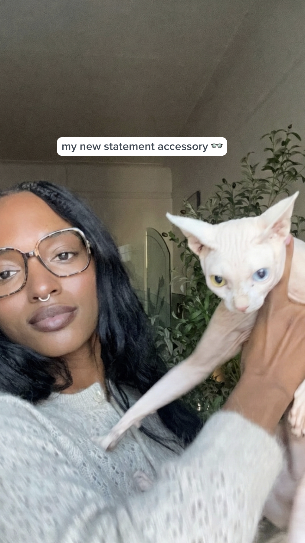 Warby Parker Facebook ad