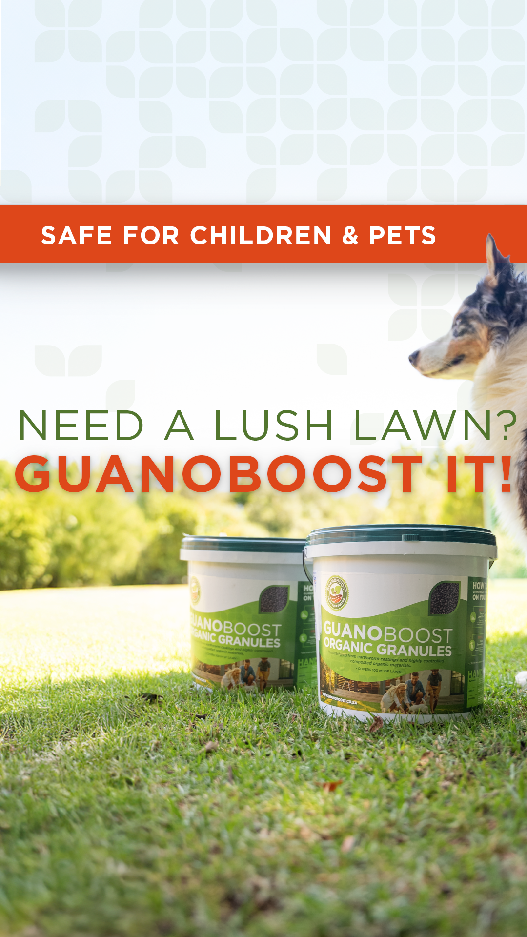 Guanoboost Facebook ad
