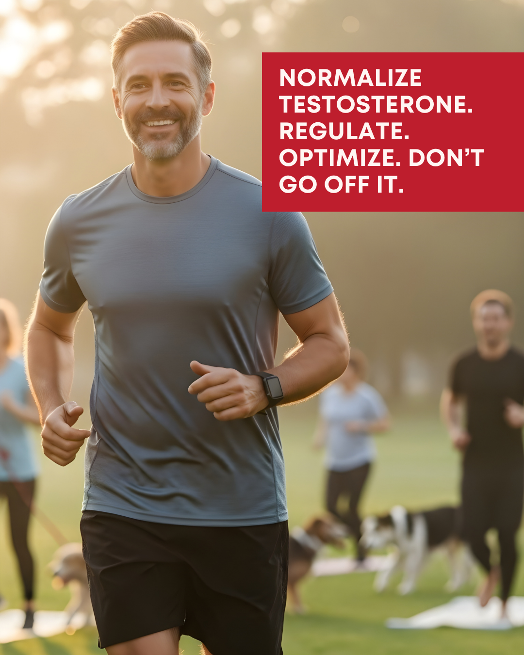 Alpha Male Plan Facebook ad