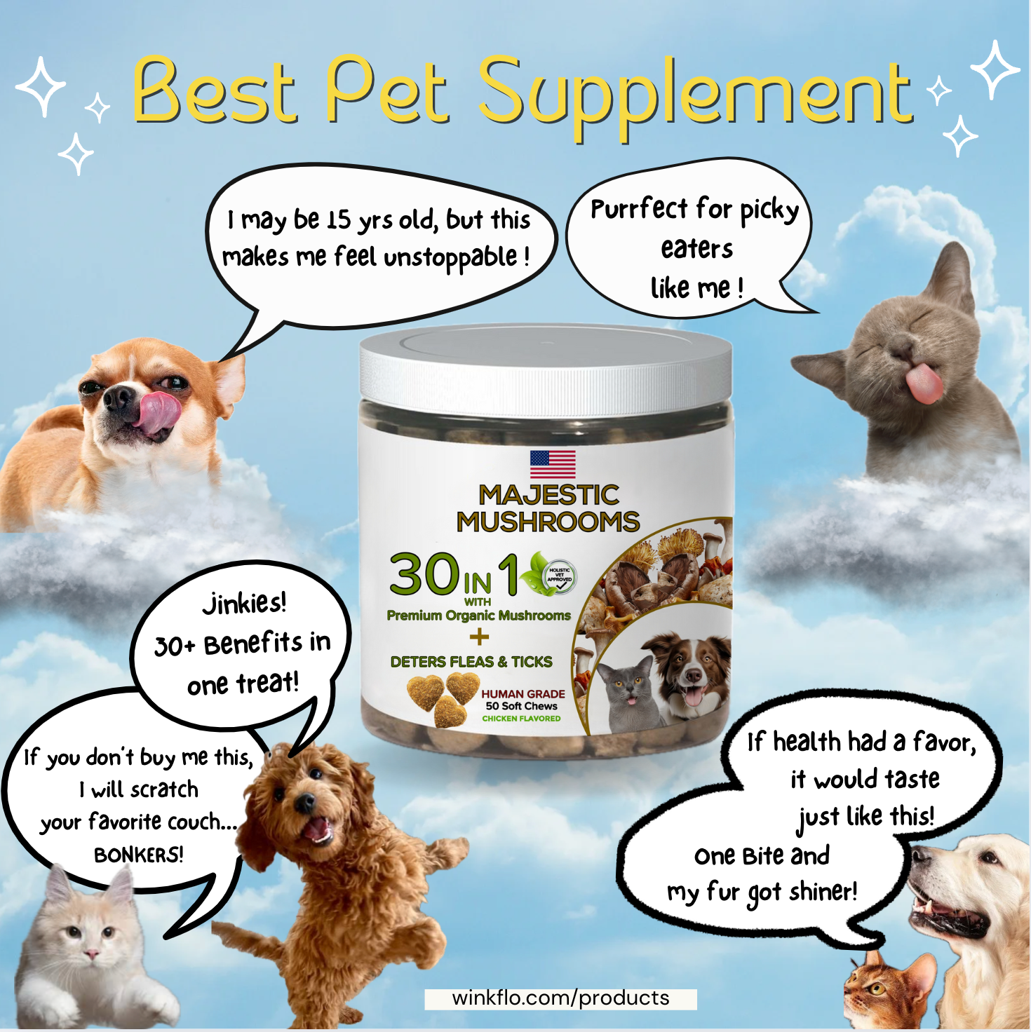 Pets Are Family Facebook ad