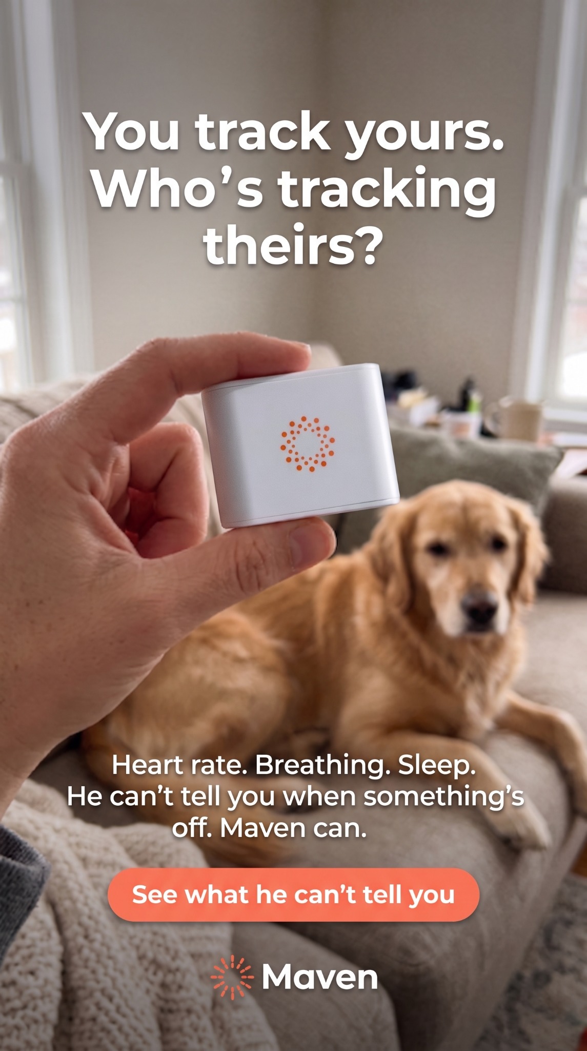 Maven Pet Facebook ad