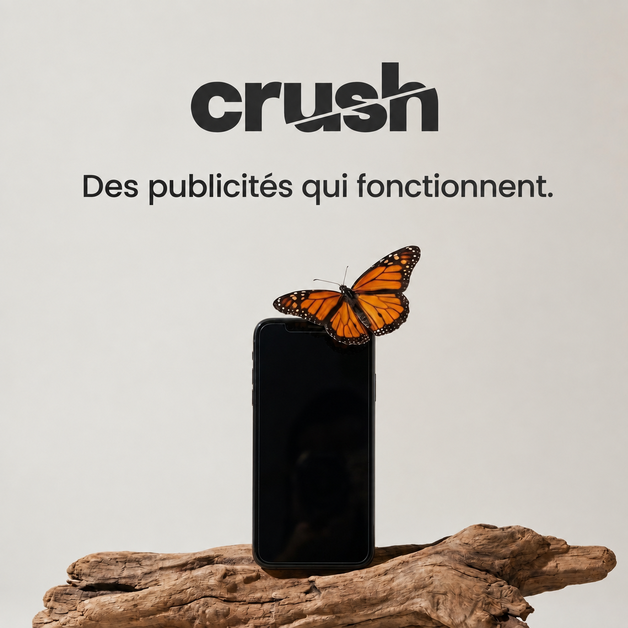 trycrush.ai Facebook ad