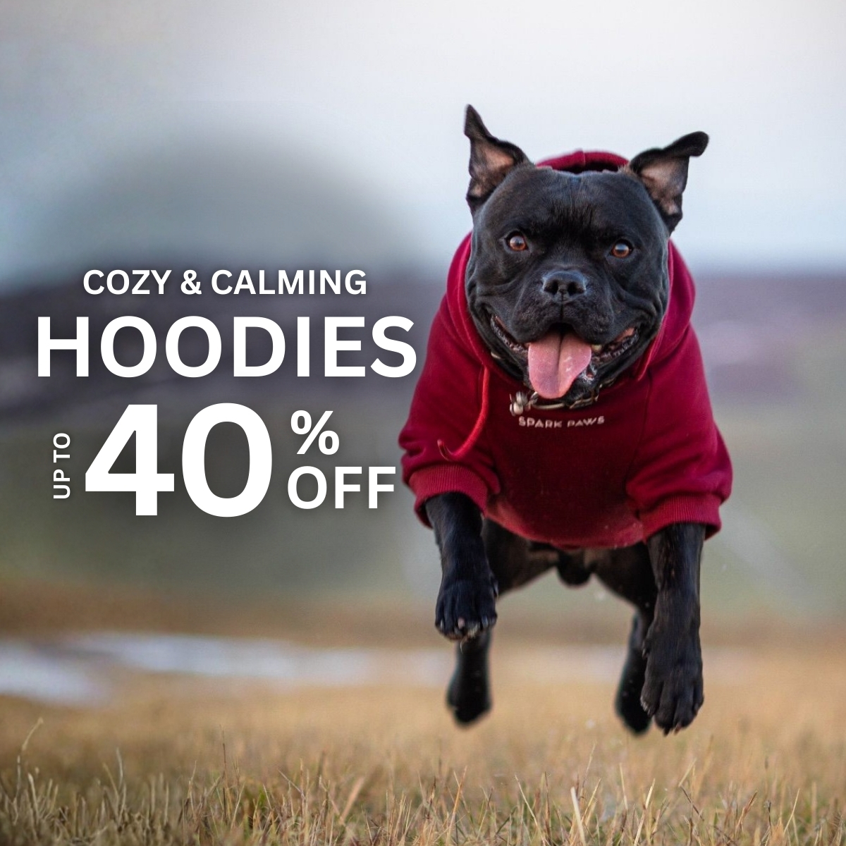 Spark Paws Facebook ad
