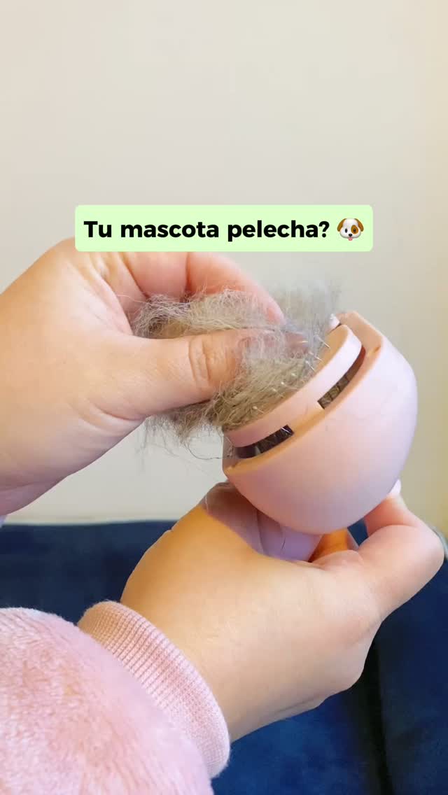 GoNails Facebook ad: ¿Tu mascota deja pelitos por toda la casa?