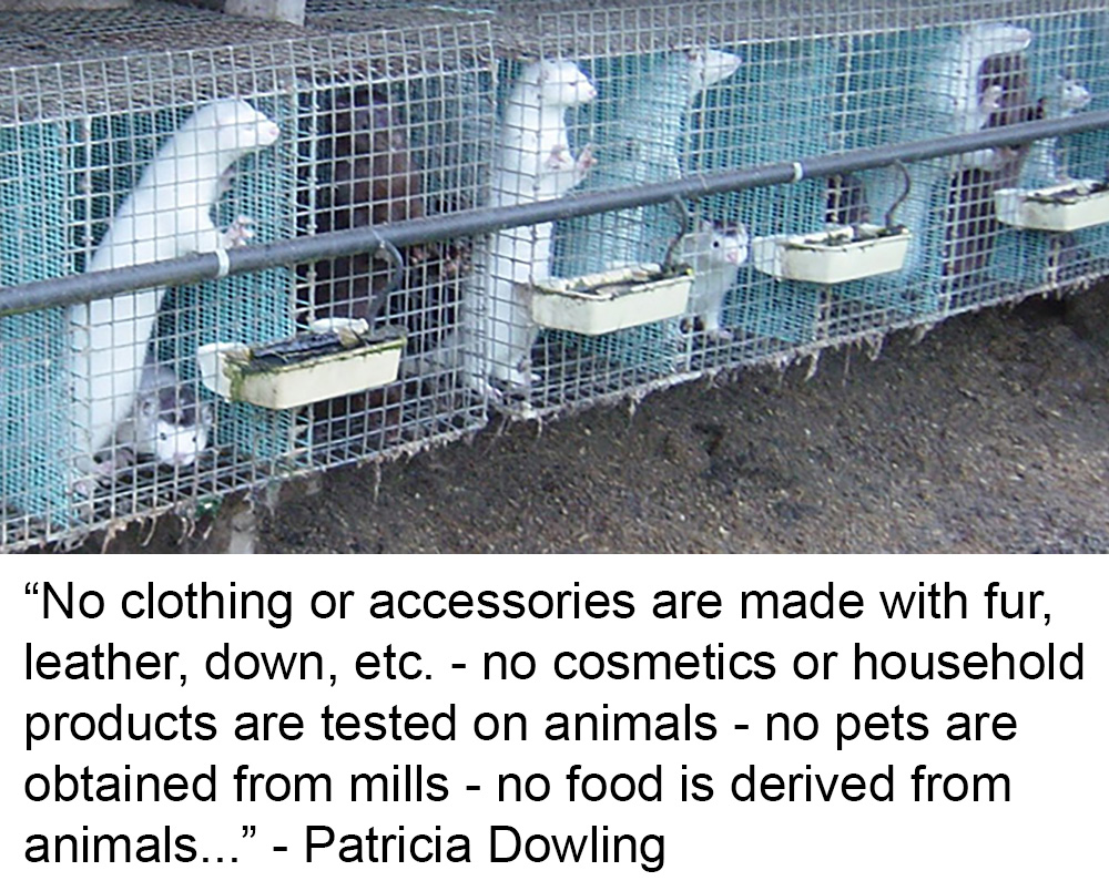 Animal Matters Facebook ad