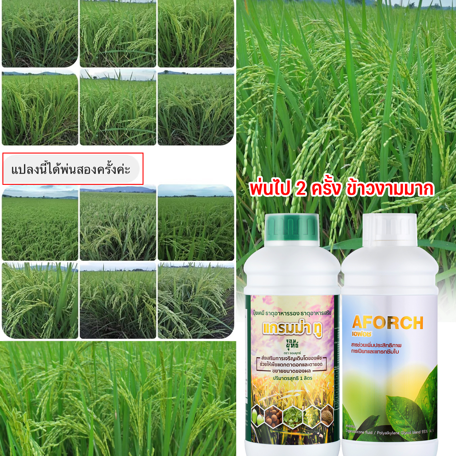 เอฟอช เพื่อนเกษตรปุ๋ยทางใบ Facebook ad