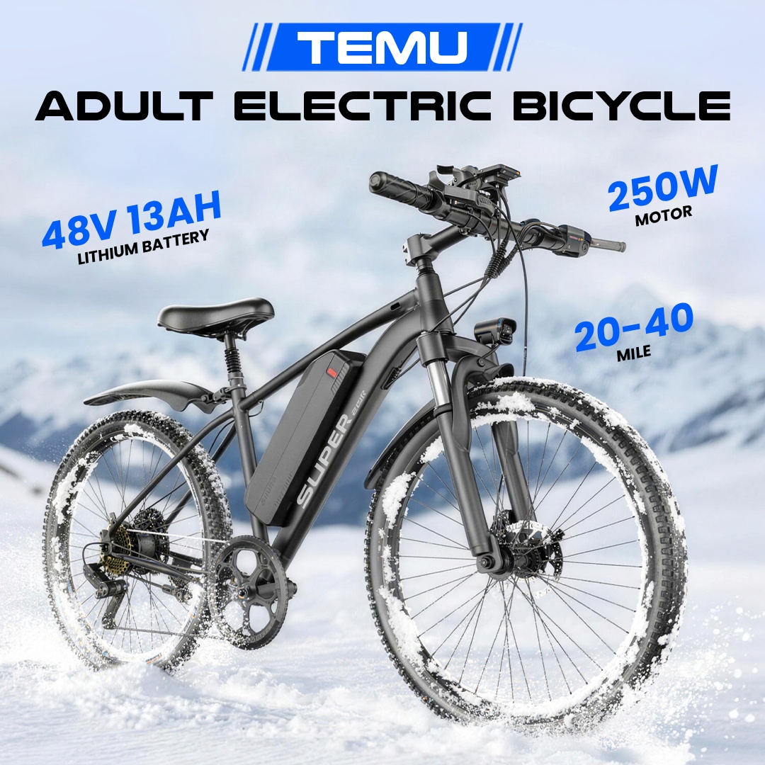 Temu.UK.TopPicks Facebook ad